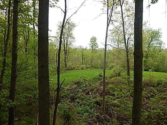15252 27 Mile Rd, Albion, MI 49224 - photo 43