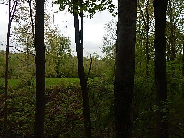 15252 27 Mile Rd, Albion, MI 49224 - photo 44