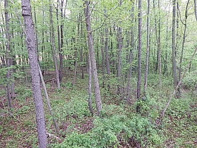15252 27 Mile Rd, Albion, MI 49224 - photo 45