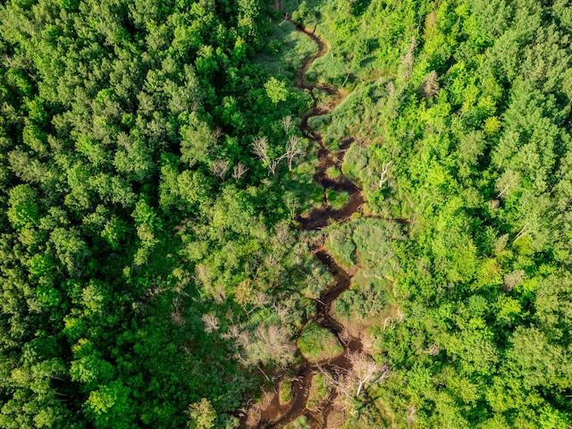 30659 Townline Rd Lot 6, Ontonagon, MI 49953