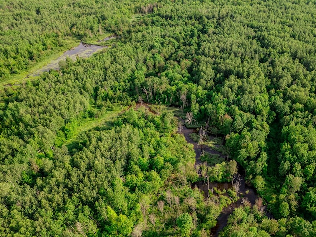 30659 Townline Rd Lot 6, Ontonagon, MI 49953