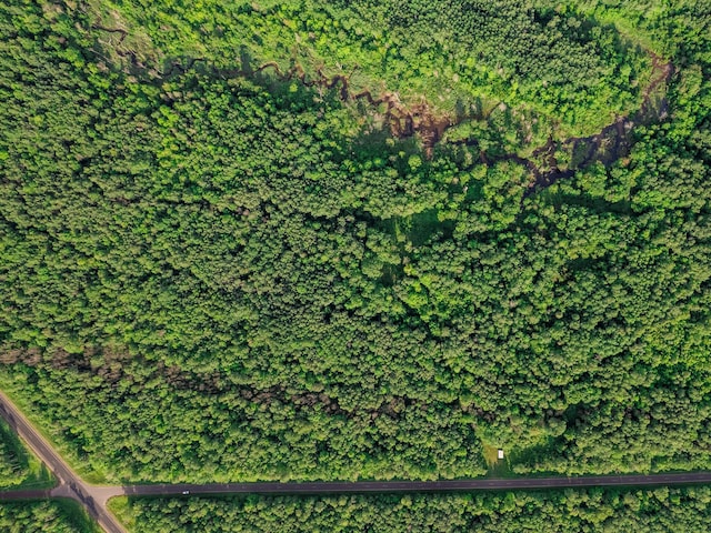 30659 Townline Rd Lot 6, Ontonagon, MI 49953