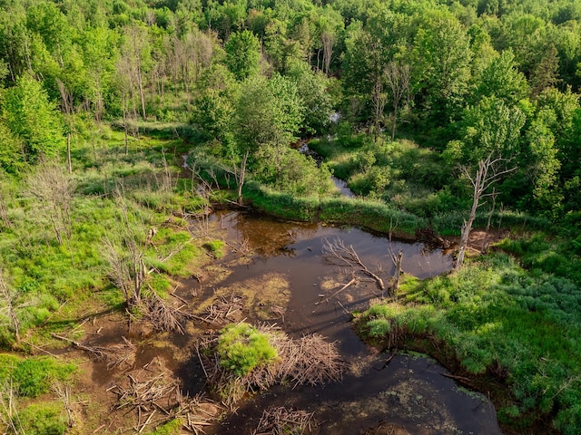 30659 Townline Rd Lot 6, Ontonagon, MI 49953