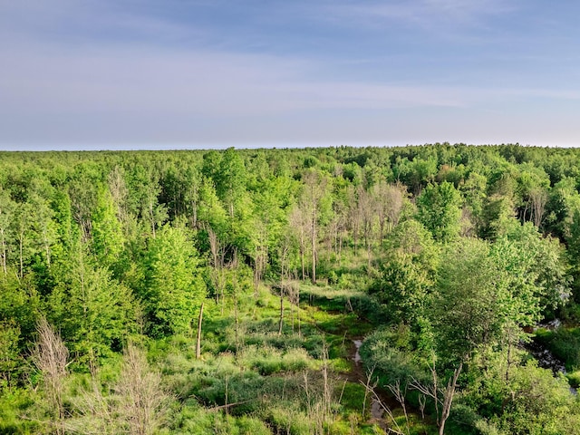 30659 Townline Rd Lot 6, Ontonagon, MI 49953