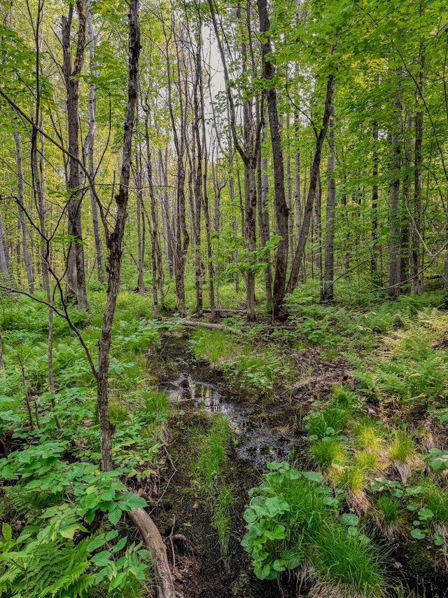 30659 Townline Rd Lot 6, Ontonagon, MI 49953