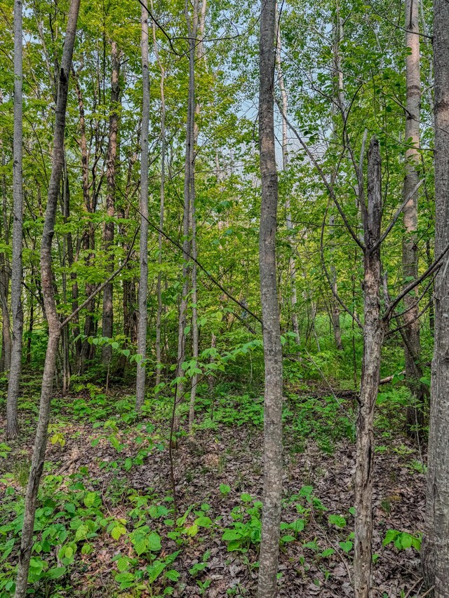 30659 Townline Rd Lot 6, Ontonagon, MI 49953