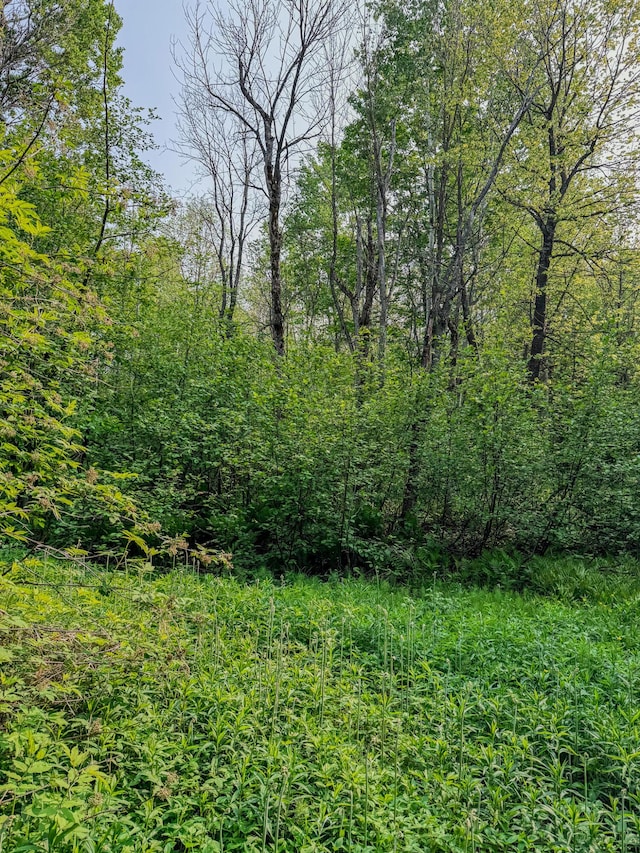 30659 Townline Rd Lot 6, Ontonagon, MI 49953