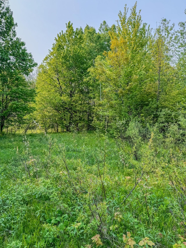 30659 Townline Rd Lot 6, Ontonagon, MI 49953