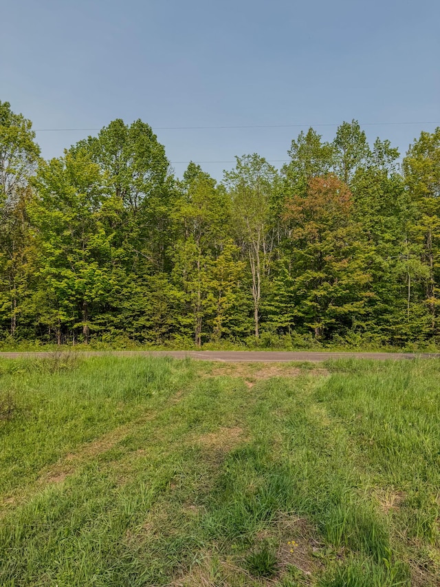 30659 Townline Rd Lot 6, Ontonagon, MI 49953