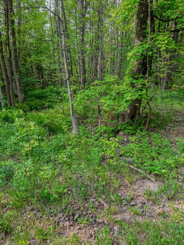 30659 Townline Rd Lot 6, Ontonagon, MI 49953