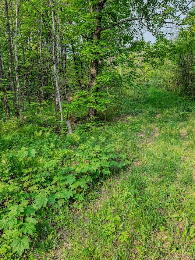 30659 Townline Rd Lot 6, Ontonagon, MI 49953