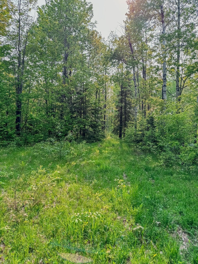 30659 Townline Rd Lot 6, Ontonagon, MI 49953
