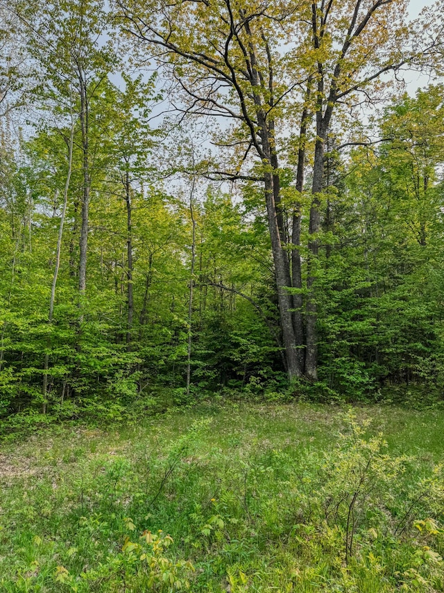 30659 Townline Rd Lot 6, Ontonagon, MI 49953