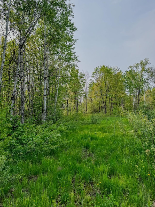 30659 Townline Rd Lot 6, Ontonagon, MI 49953