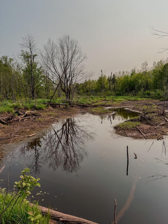 30659 Townline Rd Lot 6, Ontonagon, MI 49953