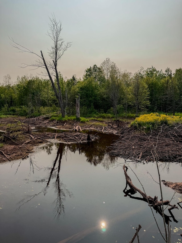 30659 Townline Rd Lot 6, Ontonagon, MI 49953