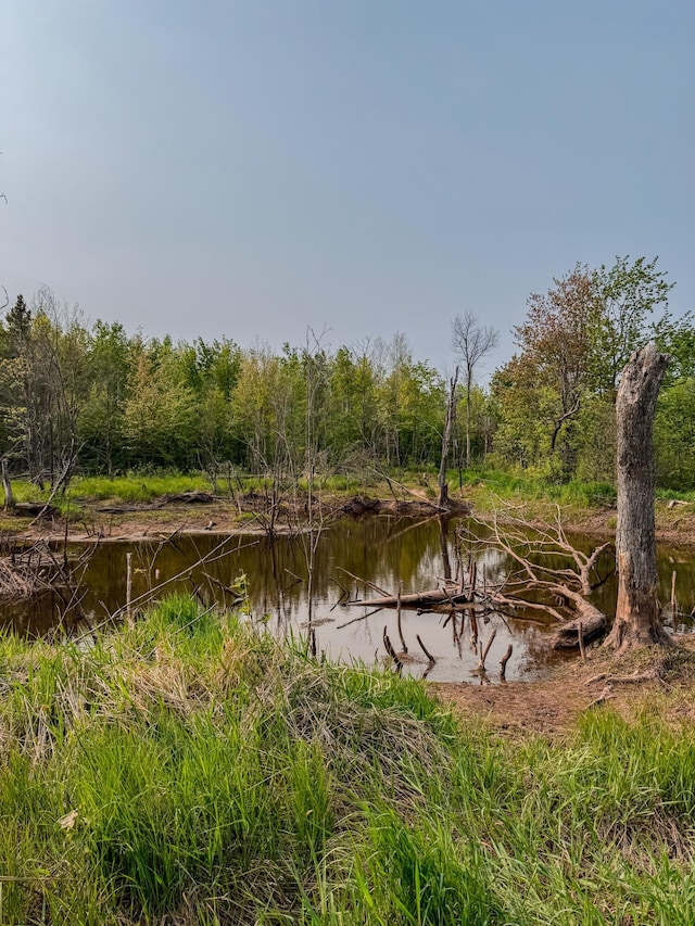 30659 Townline Rd Lot 6, Ontonagon, MI 49953