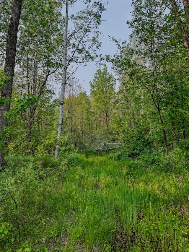 30659 Townline Rd Lot 6, Ontonagon, MI 49953