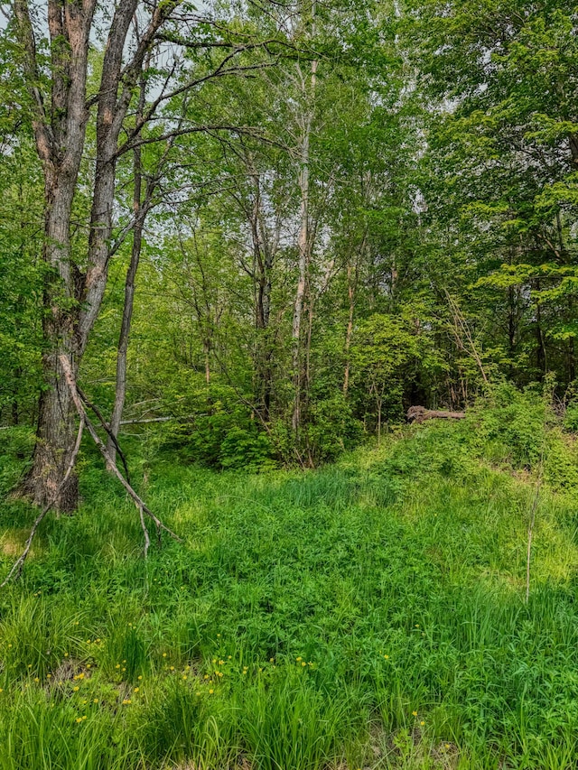 30659 Townline Rd Lot 6, Ontonagon, MI 49953