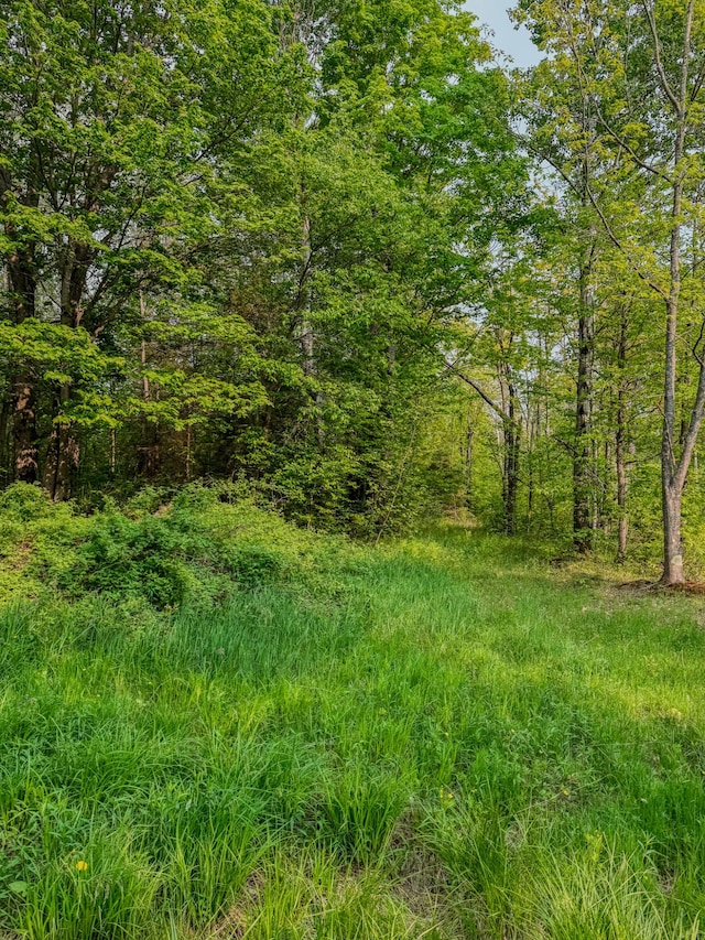 30659 Townline Rd Lot 6, Ontonagon, MI 49953