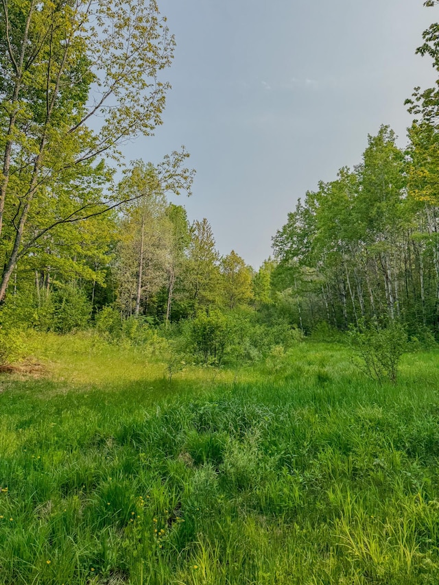 30659 Townline Rd Lot 6, Ontonagon, MI 49953