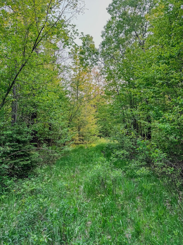 30659 Townline Rd Lot 6, Ontonagon, MI 49953
