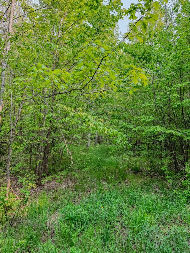 30659 Townline Rd Lot 6, Ontonagon, MI 49953