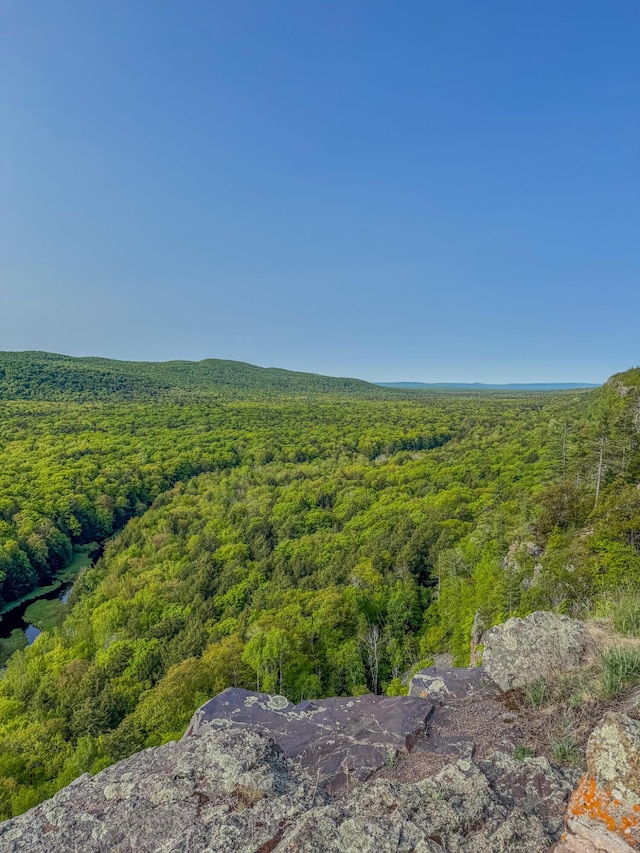 30659 Townline Rd Lot 6, Ontonagon, MI 49953