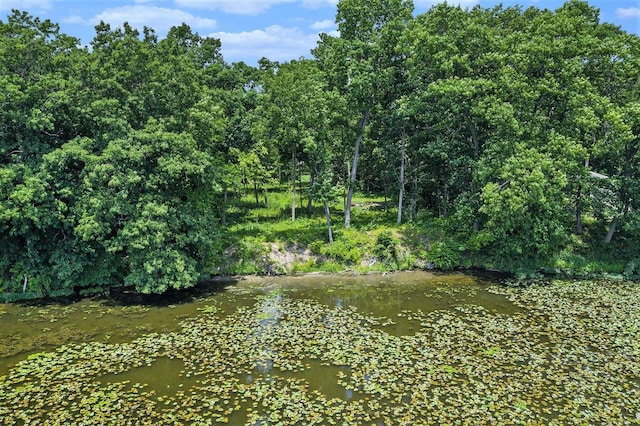 23-24 James Dr, Three Rivers, MI 49093 - photo 2