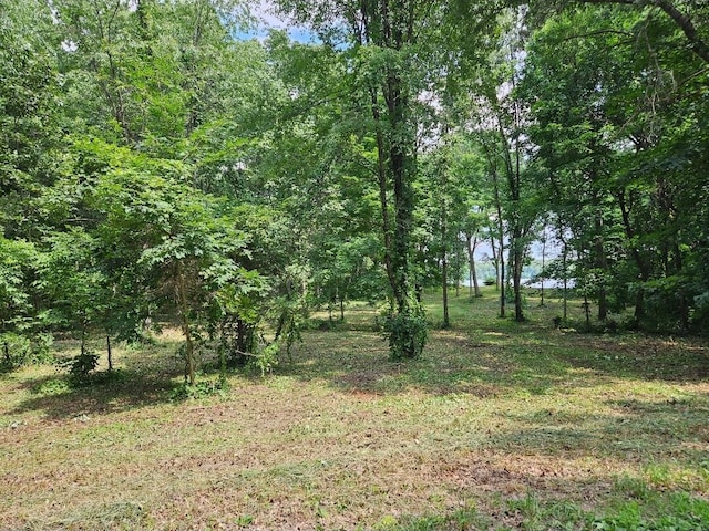 23-24 James Dr, Three Rivers, MI 49093 - photo 1