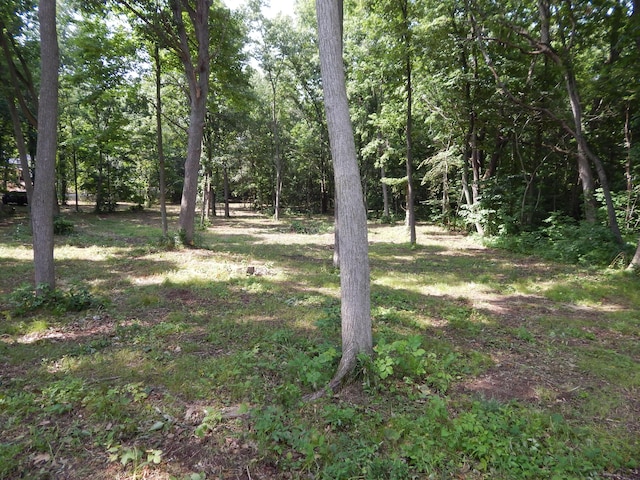 23-24 James Dr, Three Rivers, MI 49093 - photo 8