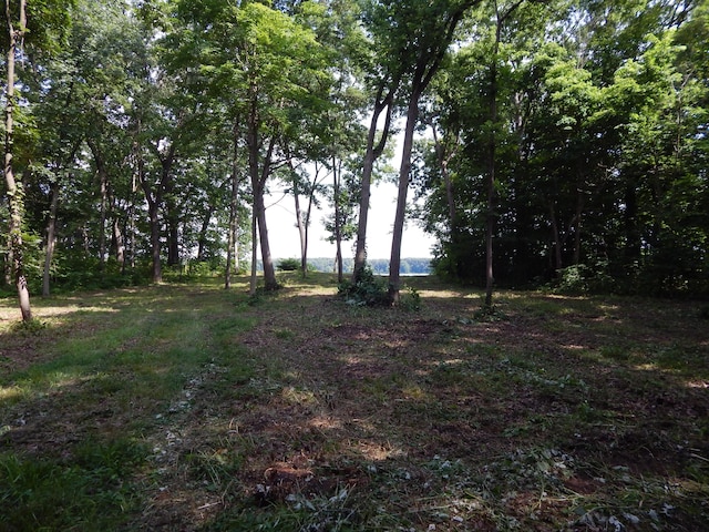 23-24 James Dr, Three Rivers, MI 49093 - photo 3