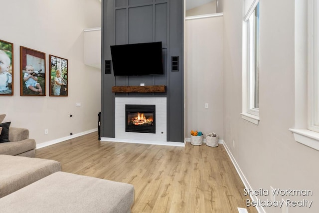 1932 Buehler Rd, Hastings, MI 49058 - living area featuring light wood-style flooring and a fireplace