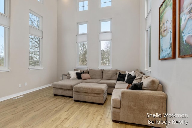 1932 Buehler Rd, Hastings, MI 49058 - living area featuring a towering ceiling, healthy amount of natural light, and light wood-type flooring