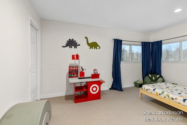 1932 Buehler Rd, Hastings, MI 49058 - carpeted bedroom with recessed lighting and baseboards