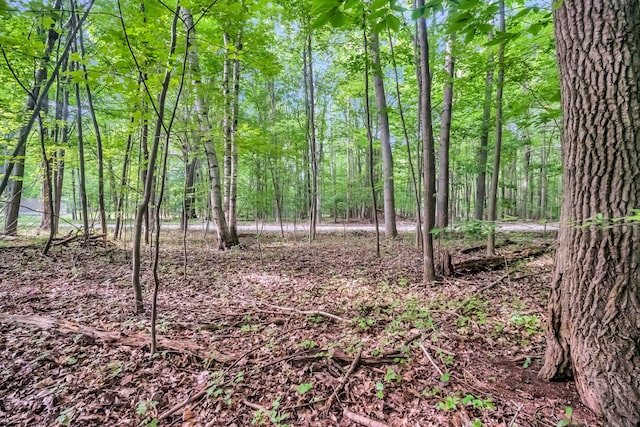 0 Linden Rd, Ludington, MI 49431 - photo 11