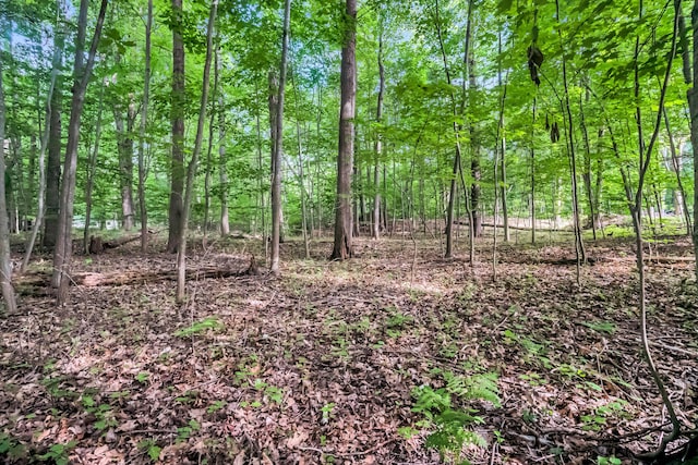 0 Linden Rd, Ludington, MI 49431 - photo 13