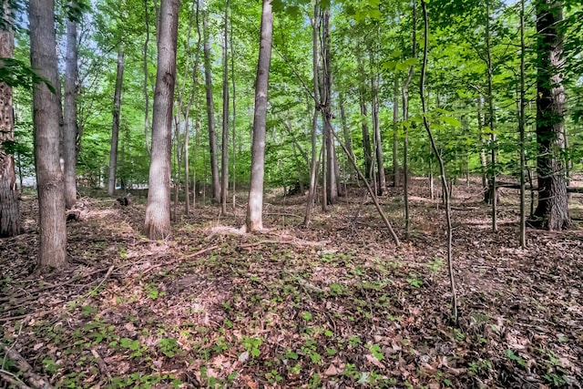 0 Linden Rd, Ludington, MI 49431 - photo 15