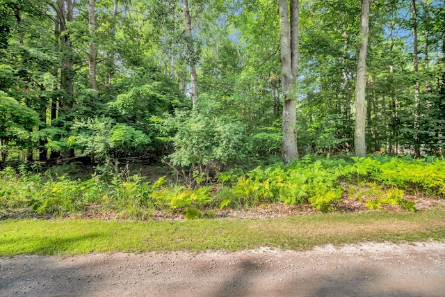 0 Linden Rd, Ludington, MI 49431 - photo 6