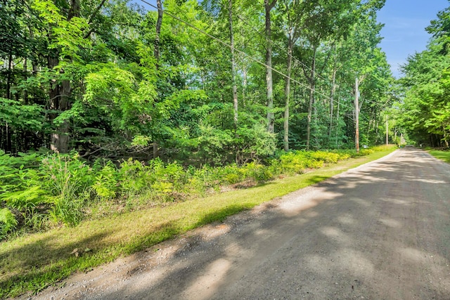 0 Linden Rd, Ludington, MI 49431 - photo 7