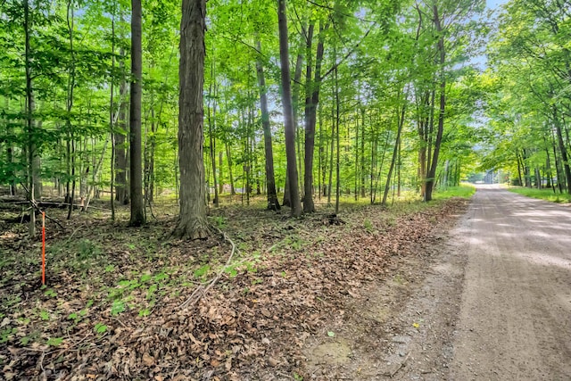 0 Linden Rd, Ludington, MI 49431 - photo 8