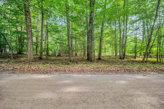0 Linden Rd, Ludington, MI 49431 - photo 9