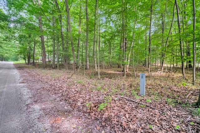 0 Linden Rd, Ludington, MI 49431 - photo 10