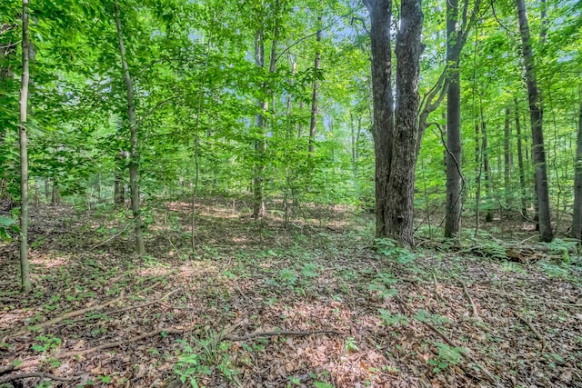 0 Linden Rd, Ludington, MI 49431 - photo 12