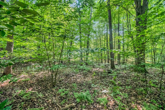 0 Linden Rd, Ludington, MI 49431 - photo 14