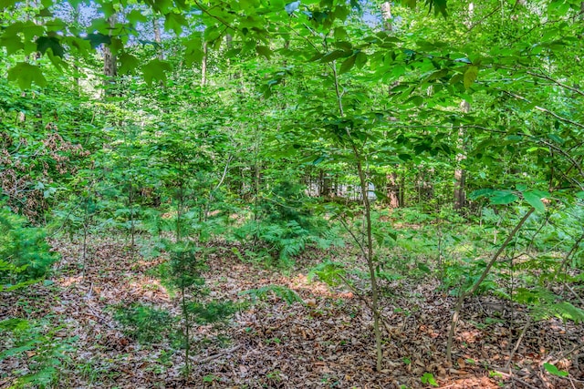 0 Linden Rd, Ludington, MI 49431 - photo 16