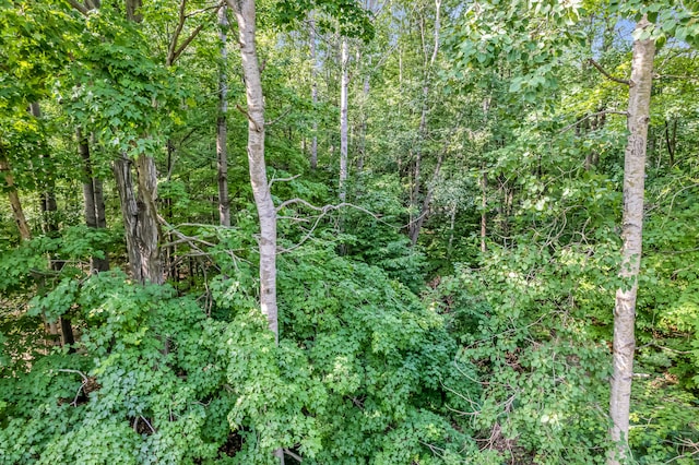 0 Linden Rd, Ludington, MI 49431 - photo 17