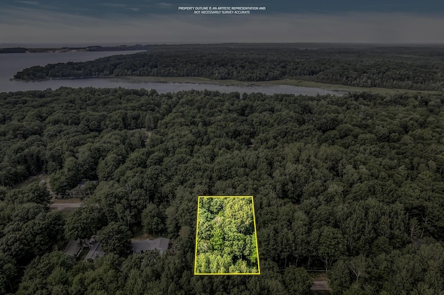 0 Linden Rd, Ludington, MI 49431 - photo 2
