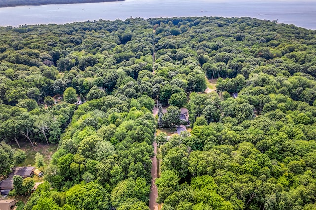 0 Linden Rd, Ludington, MI 49431 - photo 4