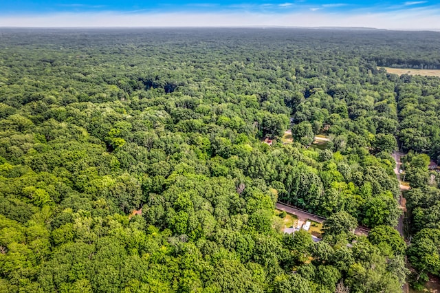 0 Linden Rd, Ludington, MI 49431 - photo 23